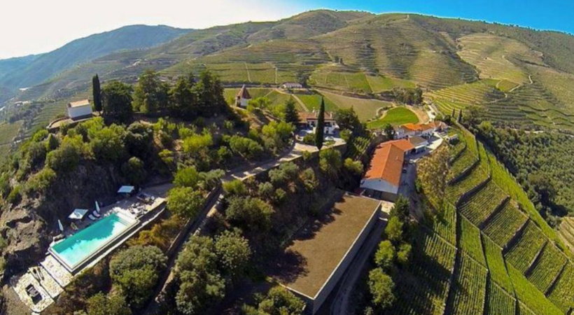 Vinhedos em socalcos no Vale do Douro, Portugal.
